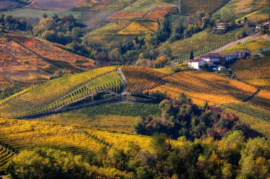 Kuzey İtalya, Piedmont 'taki Langhe tepelerindeki güzel sonbahar üzüm bağlarının ve kırsal evlerin manzarası.