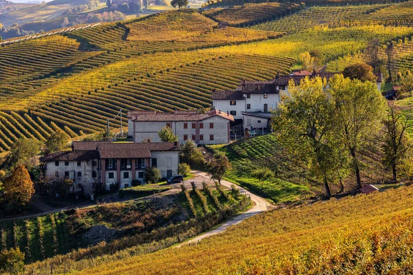 Zicht Landelijke Huizen Tussen Kleurrijke Herfstwijngaarden Heuvels Van Langhe Piemonte — Stockfoto