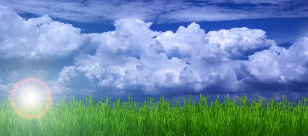 Groen Veld Blauwe Hemel Kijk Oceaan — Stockfoto