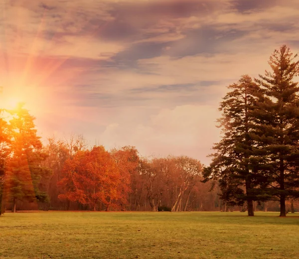 Maghificent Landskap Utsikt Över Naturen — Stockfoto