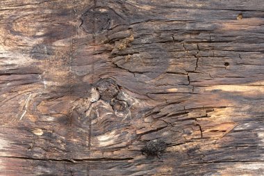 Ayrıntılı yapısı ile eski ahşap arka plan