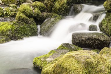 Şelale, Nenderoth, Hessen, Almanya