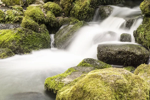 Şelale, Nenderoth, Hessen, Almanya