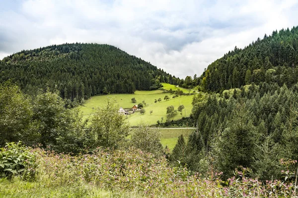 Černý Les Krásná Krajina Německu Podzim — Stock fotografie