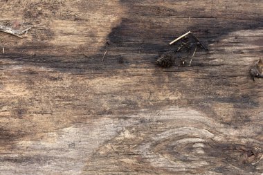 Ayrıntılı yapısı ile eski ahşap arka plan