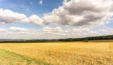 Panorama anız açık tarım arazisi içinde bulutlu bir mavi gökyüzü altında ile taze hasat tarım alanından