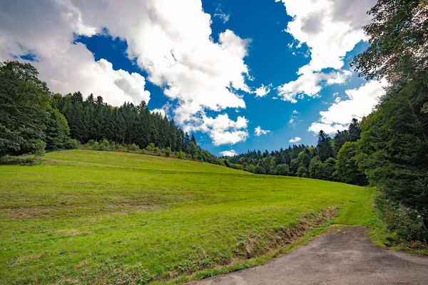 Dirt Pálya Egy Zöld Alpesi Völgyben Leveles Zöld Erdők Alatt — Stock Fotó
