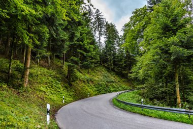 Katranlı yol, yemyeşil kırsal alanlarda dolanıyor. Bahar ormanı, bir dağ vadisinde seyahat ve turizm konsepti.