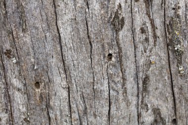 Ayrıntılı Eski Ahşap Arkaplan Yapısı