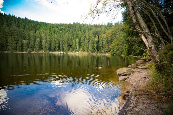 Спокойное Горное Озеро Отражениями Окружающих Зеленых Лесов Каменистой Береговой Линии — стоковое фото