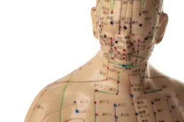 Beyaz arka plan üzerinde izole akupunktur modeli
