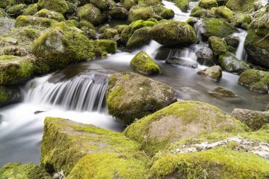 Şelale, Nenderoth, Hessen, Almanya