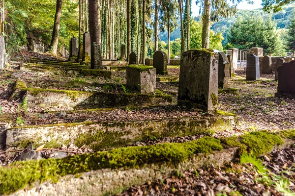 Staré Historické Židovský Hřbitov Mechem Nassau Německo — Stock fotografie