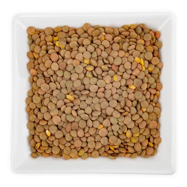 在白色背景上隔离的碗中的褐色扁豆 — 图库照片