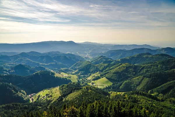 Splendido Paesaggio Della Foresta Nera Estate — Foto Stock