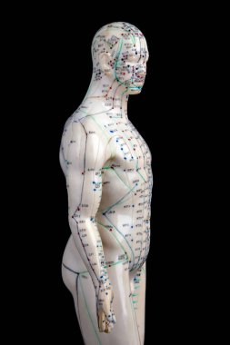 Siyah arka plan üzerine izole akupunktur modeli