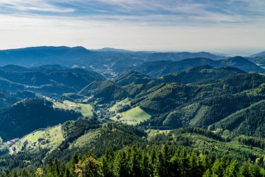 Yaz aylarında Beautyful Blackforest peyzaj