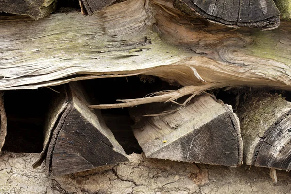 Ayrıntılı Olarak Eski Yığılmış Yakacak Odun — Stok fotoğraf