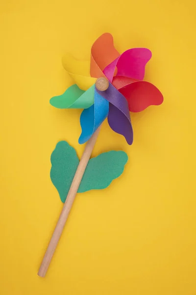 Pinwheel — Stock Photo, Image