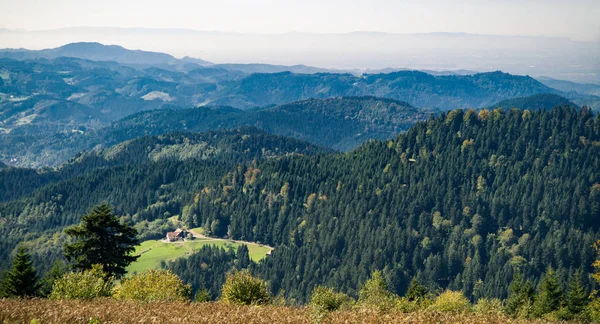 Foresta Nera in Germania — Foto Stock