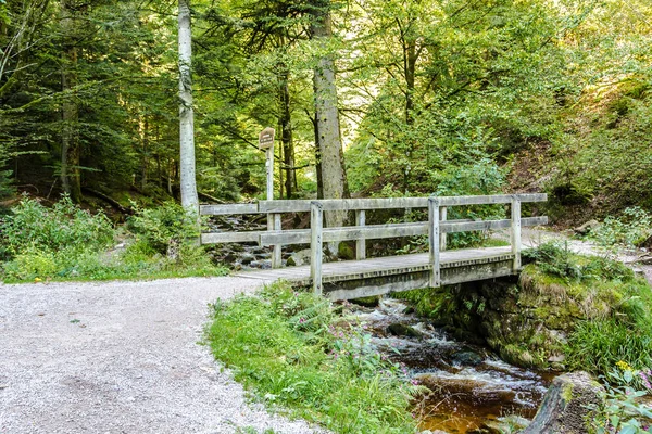 Bir orman deresi üzerinde Rustik ahşap köprü