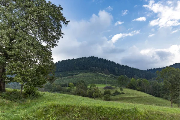 Black Forest panorama Scenery — Stock fotografie