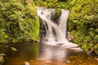 Arheiligen 'de Idyllic Ormanı Şelalesi