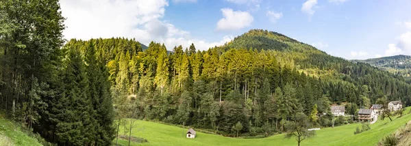 Black Forest Scenery Panoarama — Stock Photo, Image