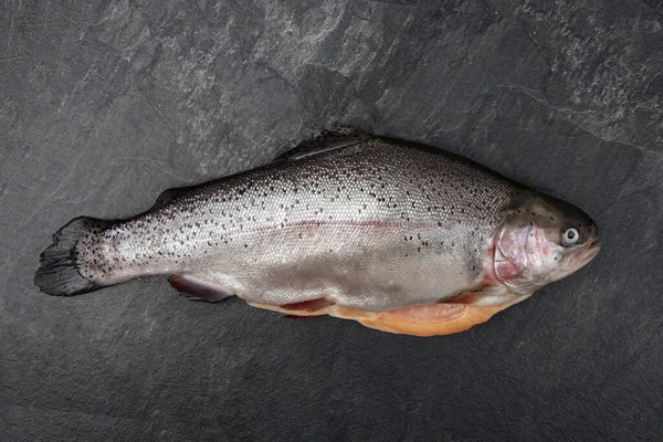 Čerstvý pstruh losos — Stock fotografie