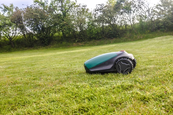 花园绿草上的机械割草机 — 图库照片