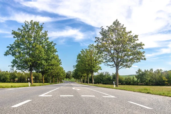 Almanya Yazın Ağaçlarla Işaretlenmiş Oklu Köy Yolu — Stok fotoğraf