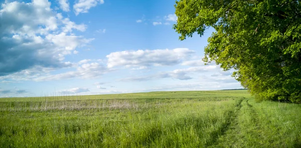 春に田舎の牧歌的な牧草地からパノラマ これらのドイツ — ストック写真