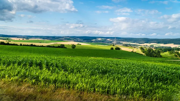 Cornfield Com Céu Bonito Verão Alemanha — Fotografia de Stock