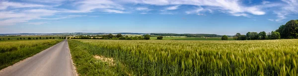 Belo Panorama Prados Agrícolas Verdes Com Árvores Hesse Alemanha — Fotografia de Stock