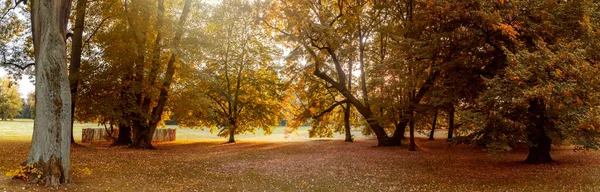 Панорама Прекрасного Осіннього Краєвиду Октоберному Парку Гермесі — стокове фото