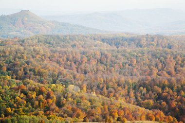 Sonbaharda sarı ormanlarla kaplı tepeler 