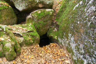 Yeşil yosunlu ve seçici odaklı kayalar arasındaki boşluk
