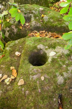 Dolmen harabelerinde delik ormandaki yosunlarla kaplı.
