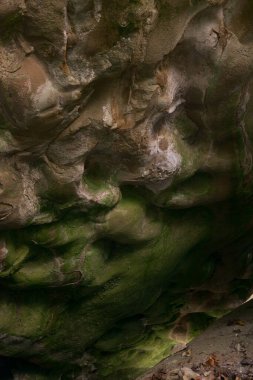 Seçici odaklı bir mağaranın içindeki alüvyon.