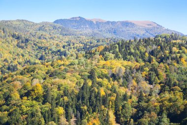 Sonbaharda mavi gökyüzü ile bir tepenin üzerindeki orman vadisi