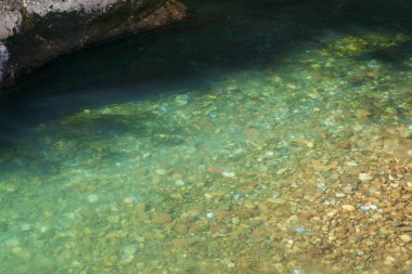 Dağ nehrinin güneşli suları 