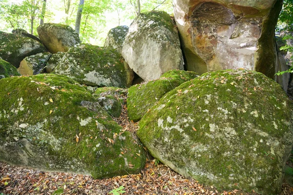 Dolmen Ruïnes Bedekt Met Mos Een Bos — Stockfoto
