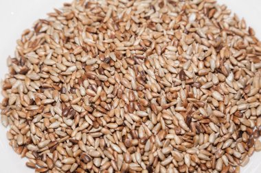 Kızarmış ay çekirdeği çekirdeklerinin yakınlaştırılması