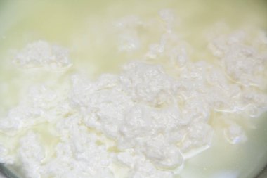 Paneer peynirini süte katlamak seçici bir odak ile itmek