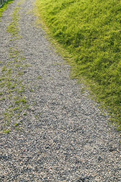 Sentier Avec Galets Herbe Verte — Photo