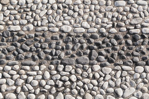 Black White Big Pebble Rocks — Stock Photo, Image