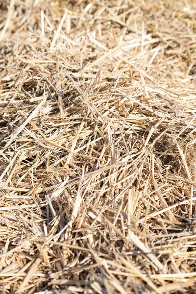 Vertikale Nahaufnahme Von Trockenem Strohheuhaufen Mit Selektivem Fokus — Stockfoto