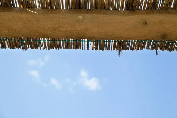 하늘이 가로수로 전통적 갈대와 — 스톡 사진