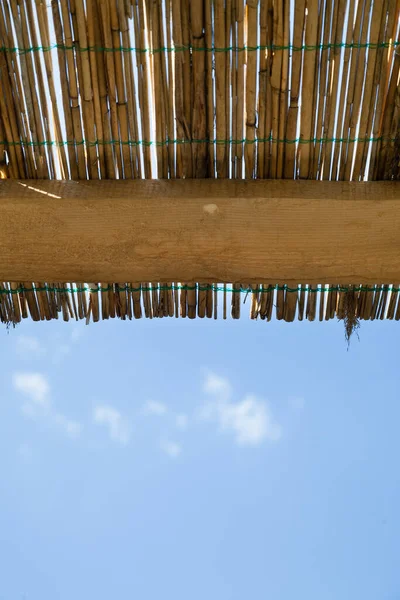전통적 갈대와 하늘이 — 스톡 사진