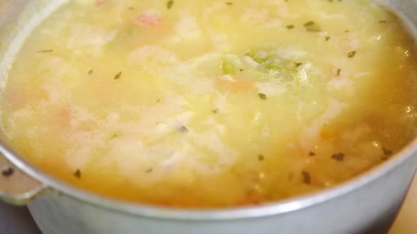 蒸気で熱々の野菜スープを閉じる — ストック動画